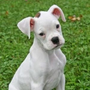 Meet your Posher, Maggie