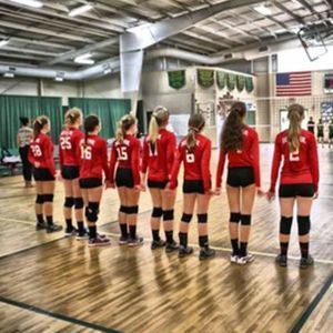 Meet your Posher, Kat