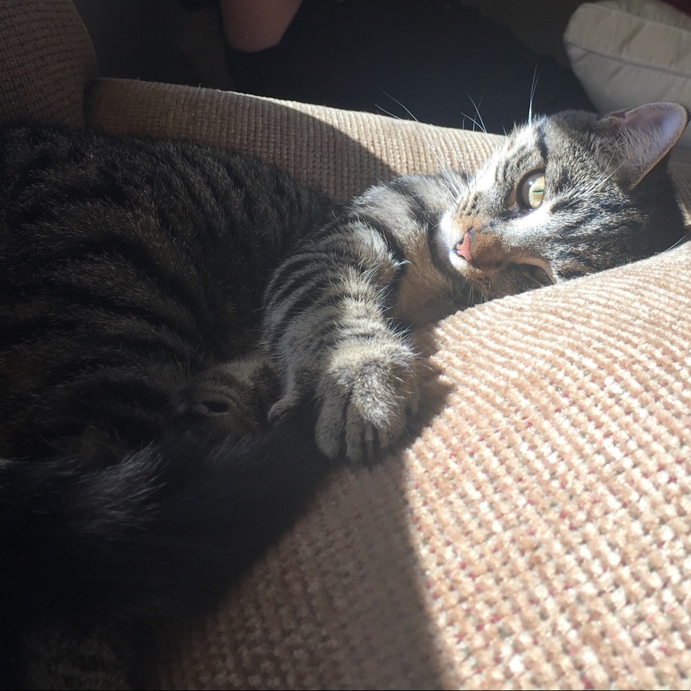 Meet your Posher, Becca