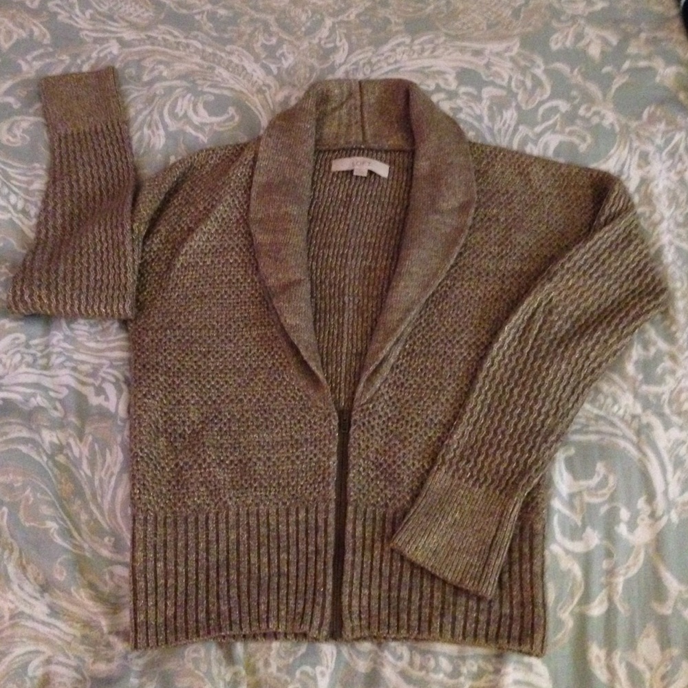 Ann Taylor LOFT zip sweater