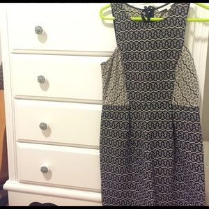 Ann Taylor LOFT Dress