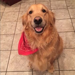 Meet your Posher, Moriah