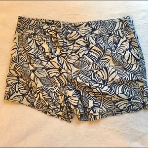 Patagonia Blue and White Shorts