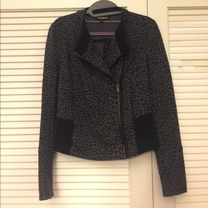 Leopard moto jacket