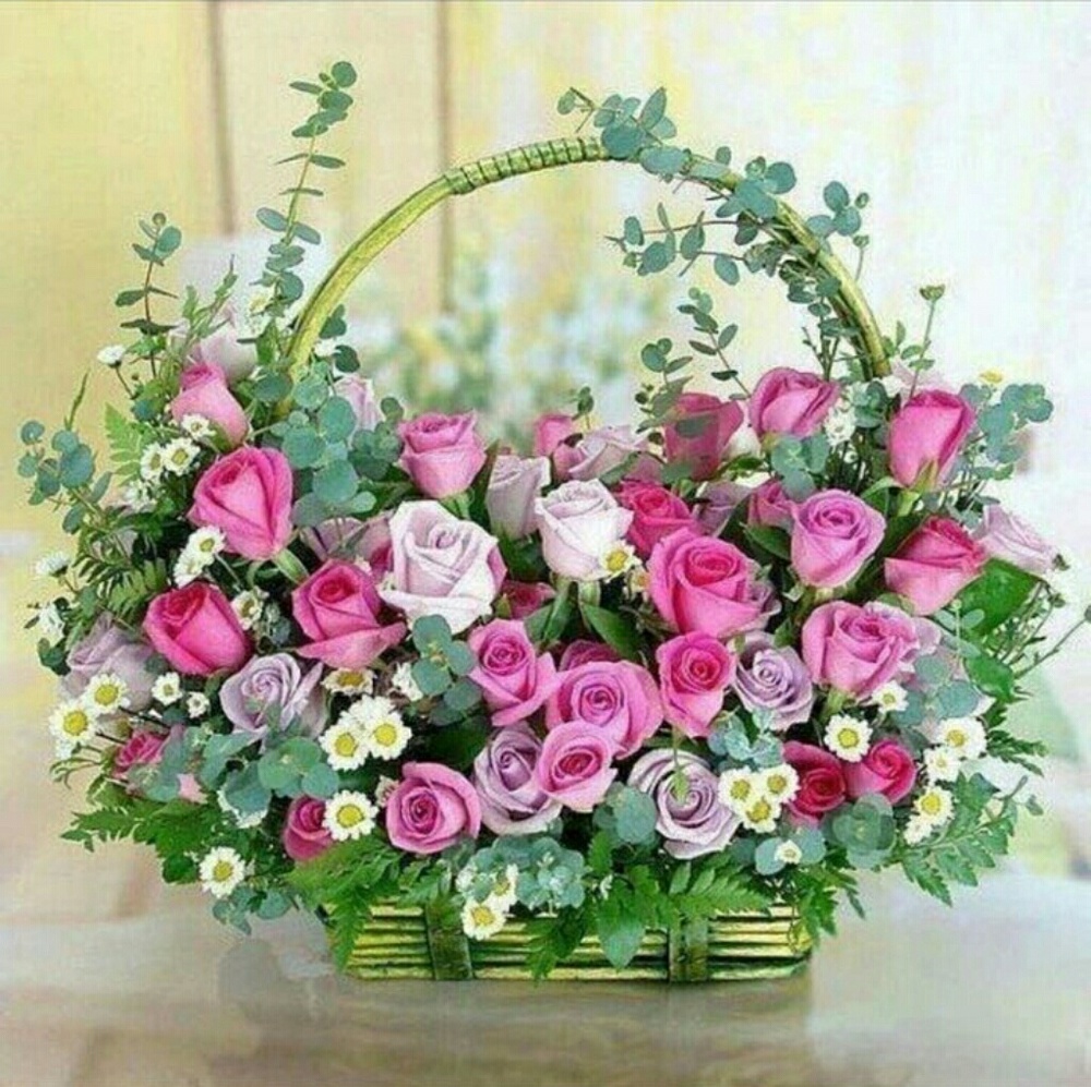 Meet your Posher, Maria