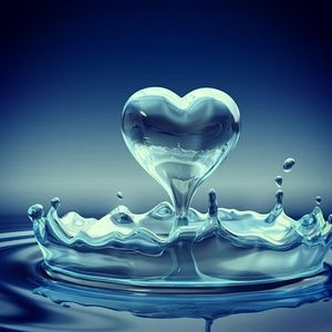 Meet your Posher, Alyson