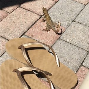 Meet your Posher, Pola