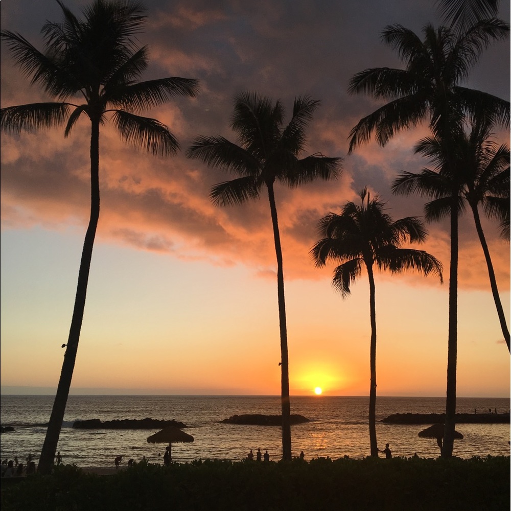 Meet your Posher, Peter