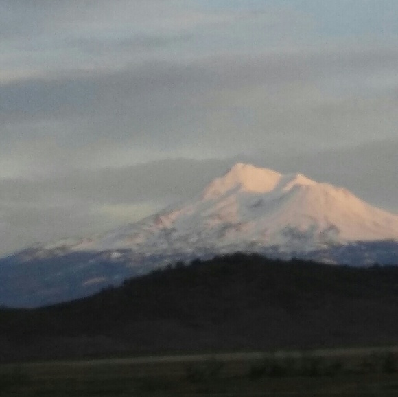 Meet your Posher, Kim - Picture 1 of 1