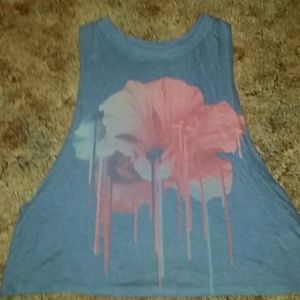 LIVELOVEDREAM Aeropostale Cropped Tee