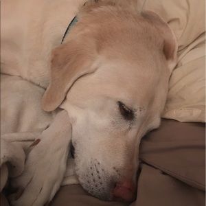 Meet your Posher, Tj