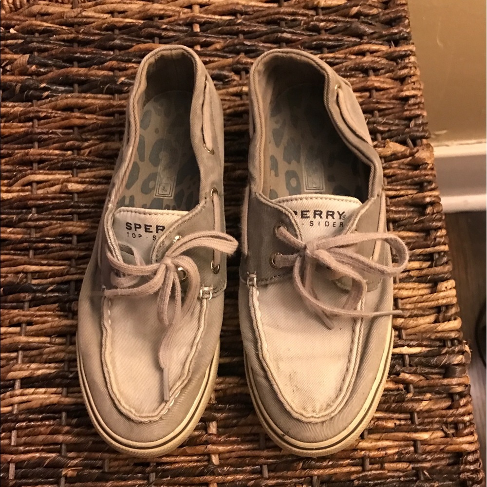 Gray Sperry's