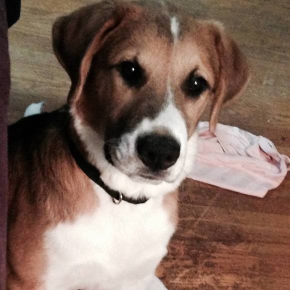 Meet your Posher, Claudia - Picture 2 of 2