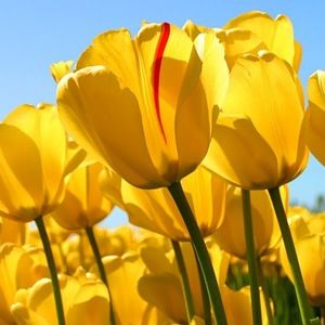 Meet your Posher, Briana