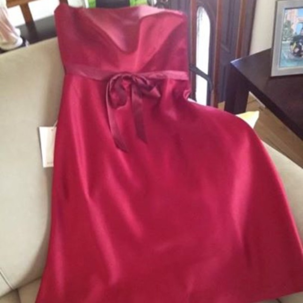 NWT Ann Taylor Satin Red Dress