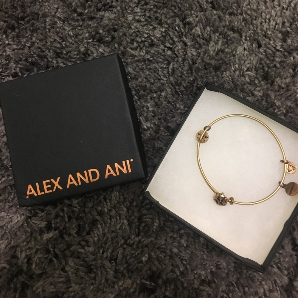 ALEX AND ANI bracelet