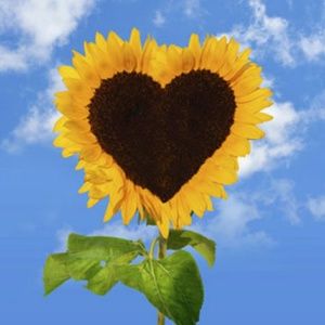 Meet your Posher, Brandi