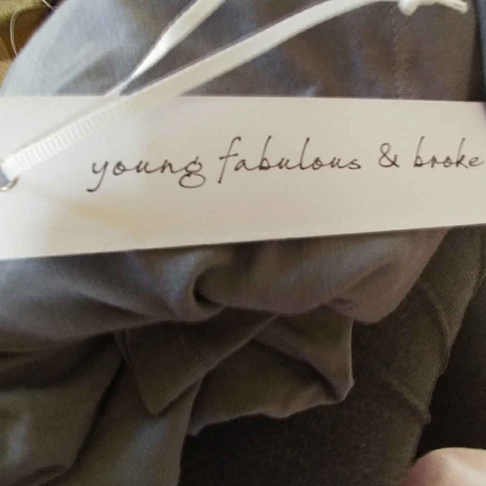 SOLD ππππYoung Fabulous & Broke dress - Picture 4 of 4