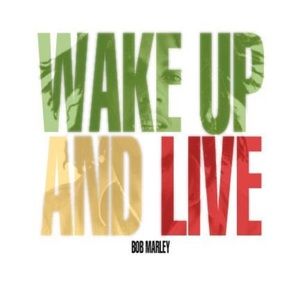 Meet your Posher, Kintara