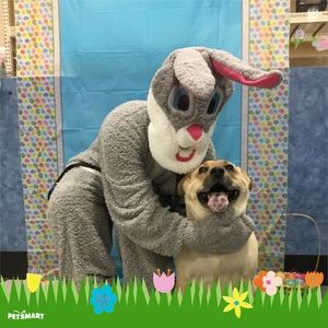 Meet your Posher, Erica