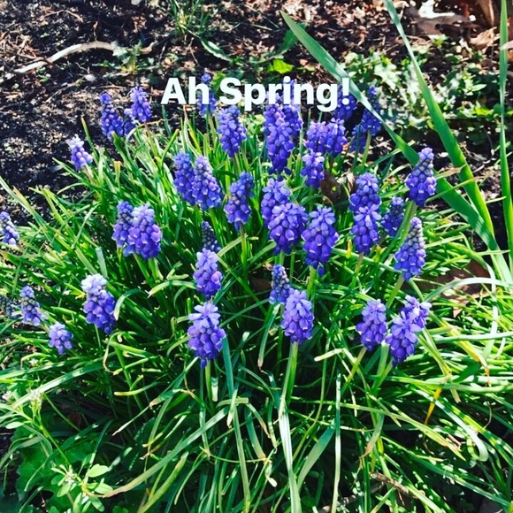 Meet your Posher, Fran - Picture 4 of 4