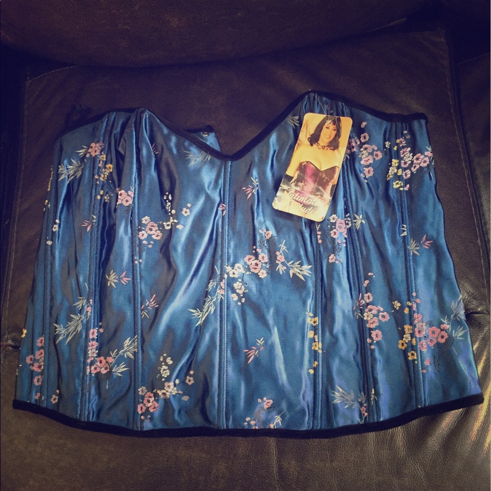 NWT Embroidered floral blue corset