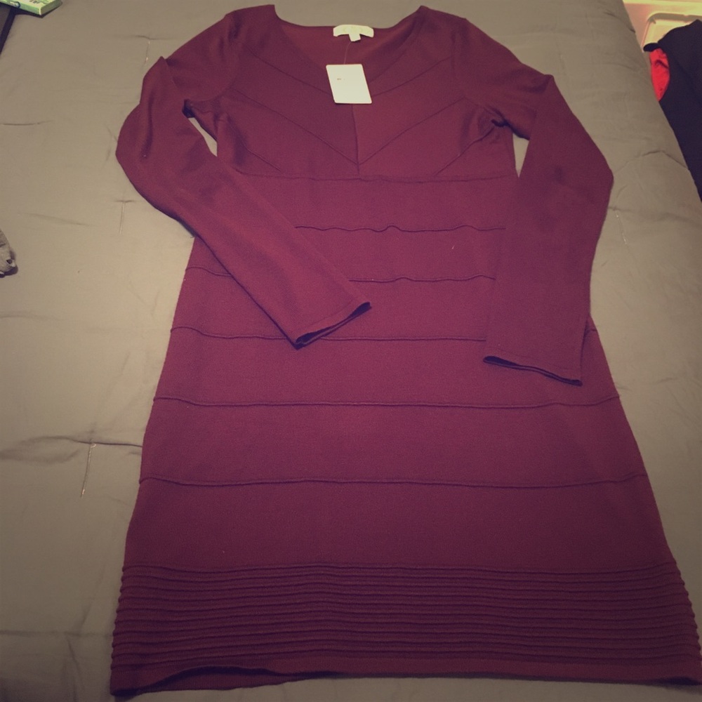 Donated 🚫 Maroon Knit Dress