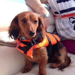 Meet your Posher, Julie