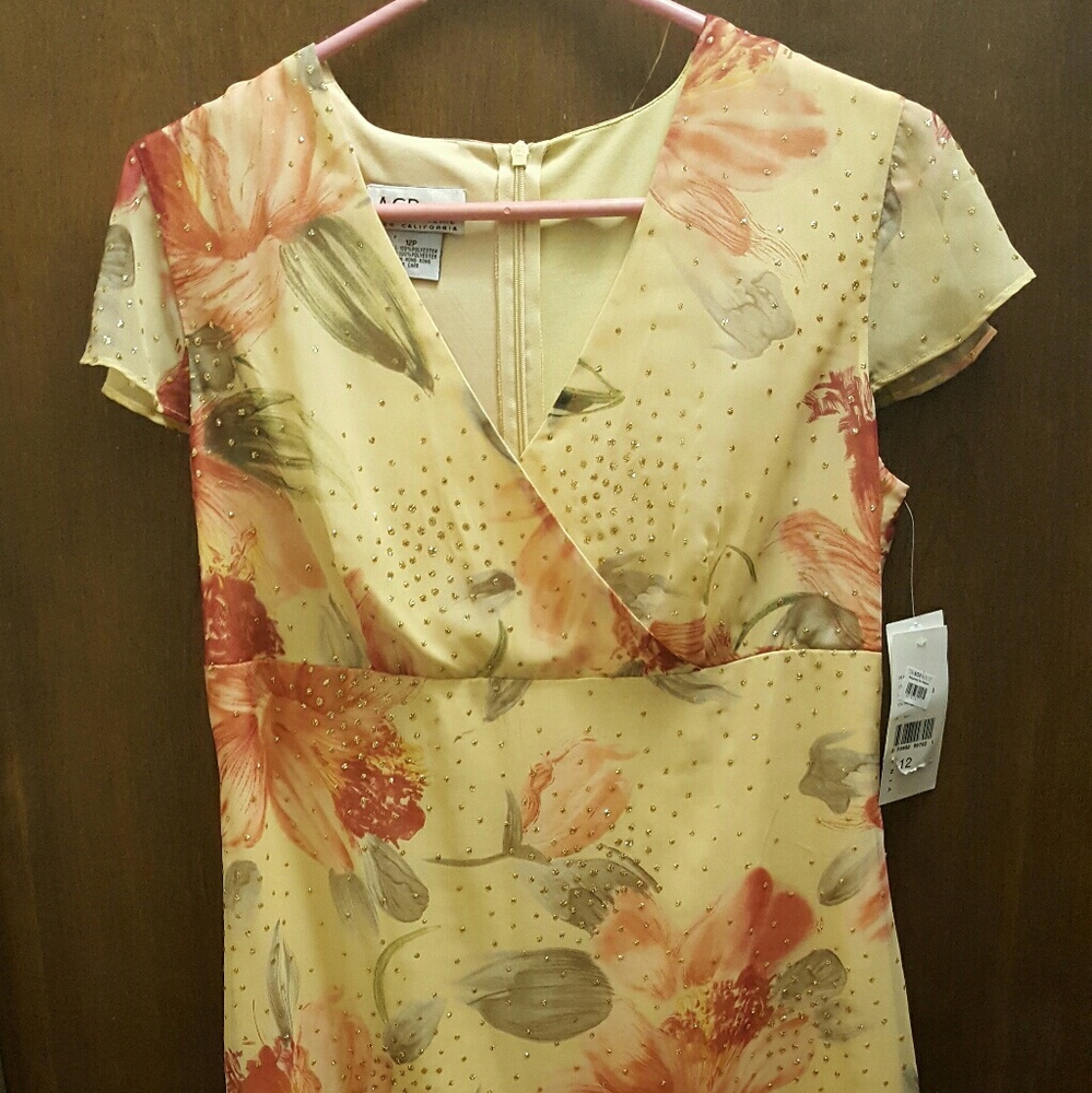 NWT AGB Sundress