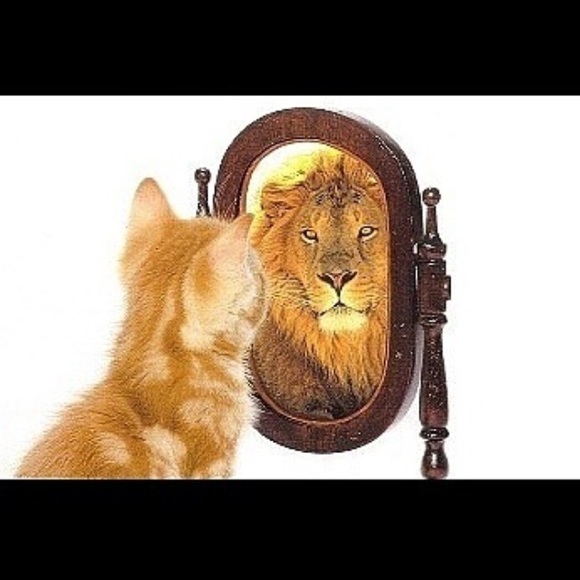 Meet your Posher, Dwayne - Picture 1 of 1