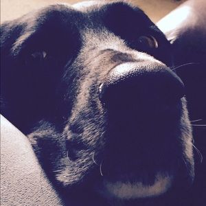 Meet your Posher, Laura