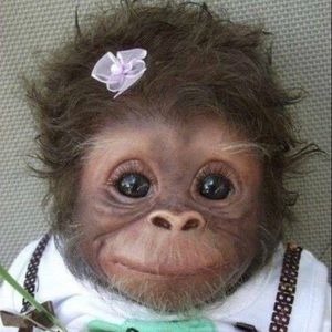 Meet your Posher, Gail