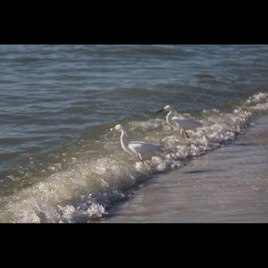 Meet your Posher, Bernie