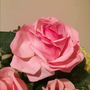 Meet your Posher, Robin