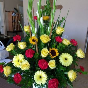 Meet your Posher, Pat