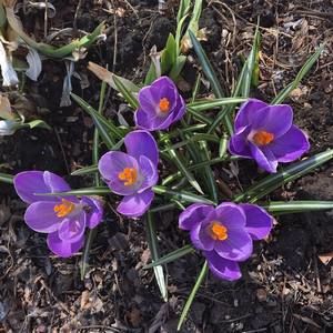 Meet your Posher, Bob