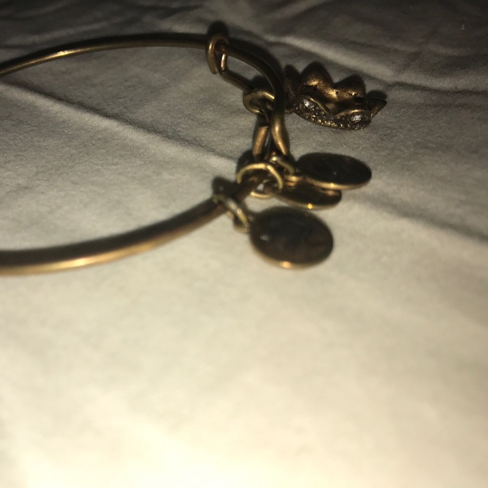 slightly tarnished princess crown alex and ani!