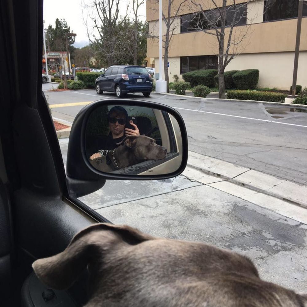 Meet your Posher, Ryan