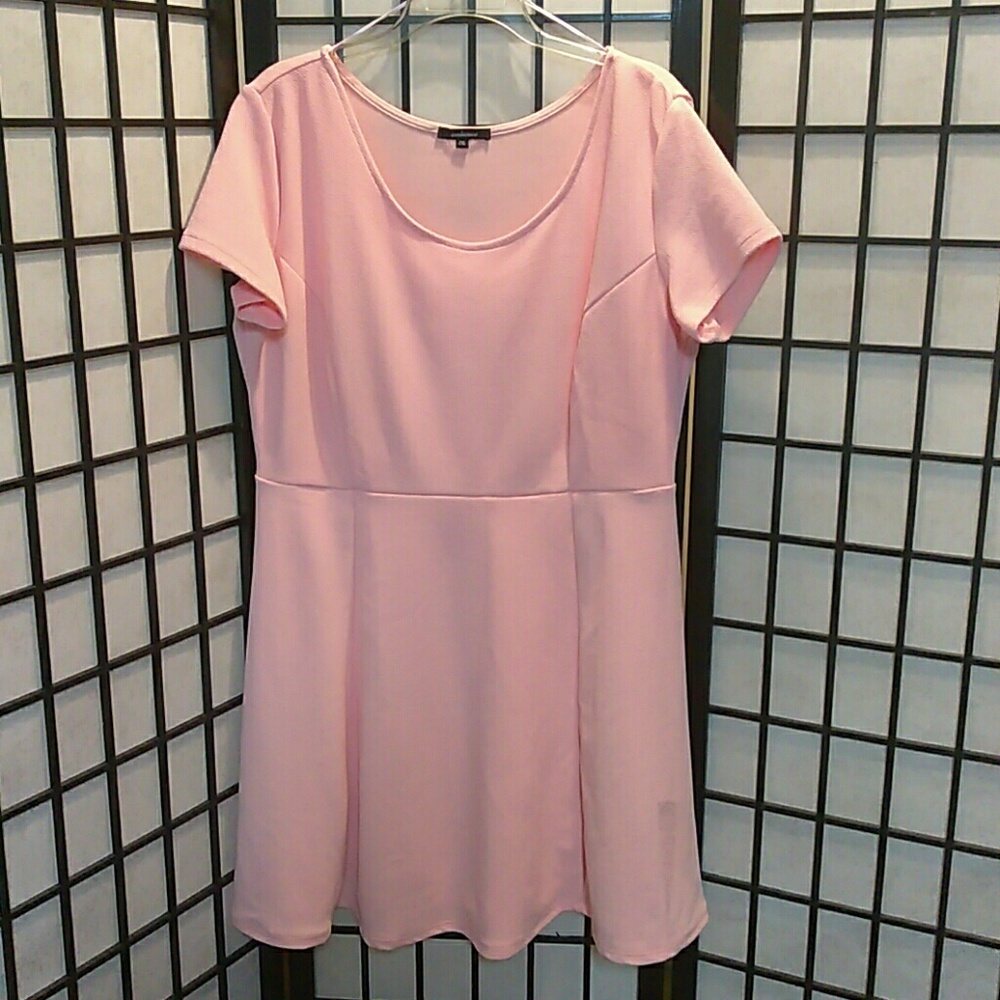 Bundle it!!! Spring Pink- Plus Size Skater Dress