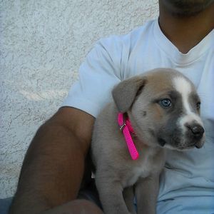 Meet your Posher, Xavier