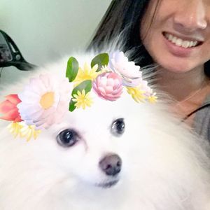 Meet your Posher, Annie