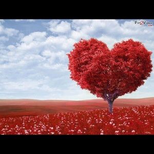 Meet your Posher, Malak