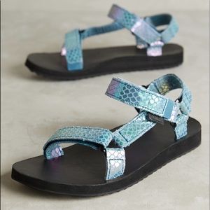 Iridescent Blue Tevas