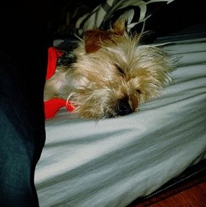 Meet your Posher, Patricia