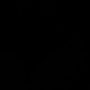 Meet your Posher, Sally