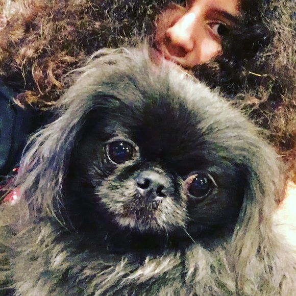 Meet your Posher, Lila - Picture 2 of 3