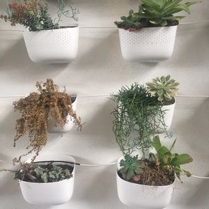 Meet your Posher, Maika