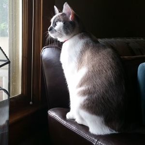 Meet your Posher, Vicki