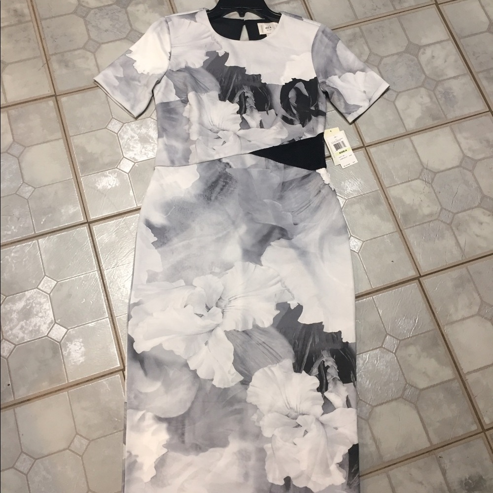 ECI NewYork new gray floral gray