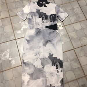 ECI NewYork new gray floral gray